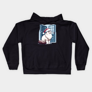 Ragdoll Cat Christmas Kids Hoodie